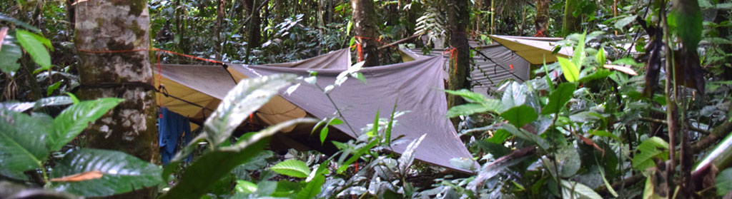 Hammock Camp near Atalaya in Manu National Park