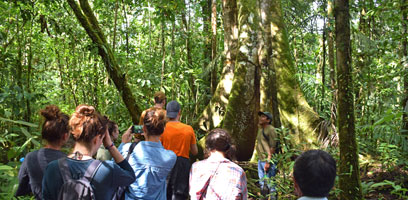 Boca Amigo Boat Route Map