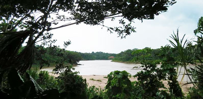 Tambopata